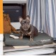 Furhaven Pet Ultra Plush Deluxe Egg-Crate Orthopedic Mat Dog Bed with Water-Resistant Base, Medium, Chocolate Furhaven Pet Ultra Plush Deluxe Egg-Crate Orthopedic Mat Dog Bed with Water-Resistant Base, Medium, Chocolate