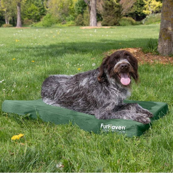Furhaven Pet Ultra Plush Deluxe Egg-Crate Orthopedic Mat Dog Bed with Water-Resistant Base, Medium, Chocolate Furhaven Pet Ultra Plush Deluxe Egg-Crate Orthopedic Mat Dog Bed with Water-Resistant Base, Medium, Chocolate