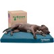 Furhaven Pet Ultra Plush Deluxe Egg-Crate Orthopedic Mat Dog Bed with Water-Resistant Base, Medium, Chocolate Furhaven Pet Ultra Plush Deluxe Egg-Crate Orthopedic Mat Dog Bed with Water-Resistant Base, Medium, Chocolate