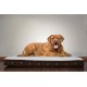 Furhaven Pet Ultra Plush Deluxe Egg-Crate Orthopedic Mat Dog Bed with Water-Resistant Base, Medium, Chocolate Furhaven Pet Ultra Plush Deluxe Egg-Crate Orthopedic Mat Dog Bed with Water-Resistant Base, Medium, Chocolate