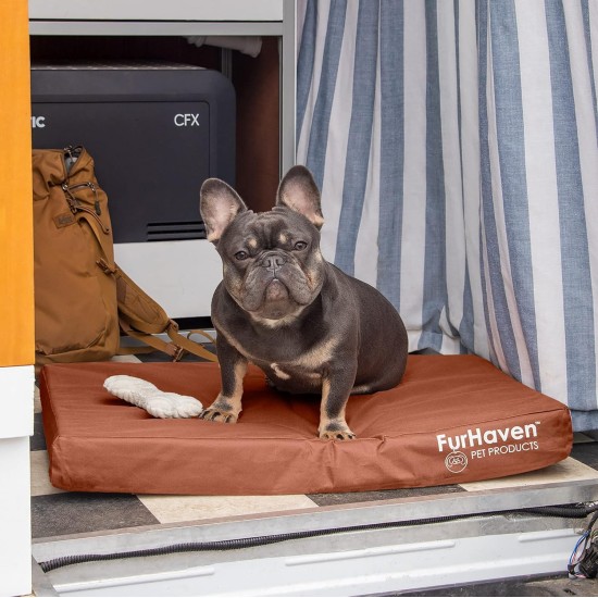 Furhaven Pet Ultra Plush Deluxe Egg-Crate Orthopedic Mat Dog Bed with Water-Resistant Base, Medium, Chocolate Furhaven Pet Ultra Plush Deluxe Egg-Crate Orthopedic Mat Dog Bed with Water-Resistant Base, Medium, Chocolate