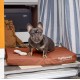 Furhaven Pet Ultra Plush Deluxe Egg-Crate Orthopedic Mat Dog Bed with Water-Resistant Base, Medium, Chocolate Furhaven Pet Ultra Plush Deluxe Egg-Crate Orthopedic Mat Dog Bed with Water-Resistant Base, Medium, Chocolate