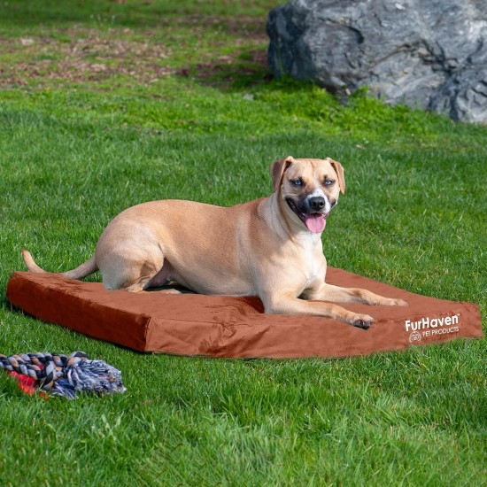 Furhaven Pet Ultra Plush Deluxe Egg-Crate Orthopedic Mat Dog Bed with Water-Resistant Base, Medium, Chocolate Furhaven Pet Ultra Plush Deluxe Egg-Crate Orthopedic Mat Dog Bed with Water-Resistant Base, Medium, Chocolate
