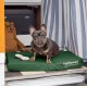 Furhaven Pet Ultra Plush Deluxe Egg-Crate Orthopedic Mat Dog Bed with Water-Resistant Base, Medium, Chocolate Furhaven Pet Ultra Plush Deluxe Egg-Crate Orthopedic Mat Dog Bed with Water-Resistant Base, Medium, Chocolate