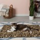 Furhaven Small Cat Bed Polycanvas Print Décor Foldable Pet Tent, Washable, Grey Terazzo, Small