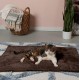 Furhaven Small Cat Bed Polycanvas Print Décor Foldable Pet Tent, Washable, Grey Terazzo, Small