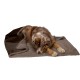 Furhaven Small Cat Bed Polycanvas Print Décor Foldable Pet Tent, Washable, Grey Terazzo, Small