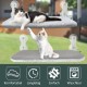 GUUSII HOME Cat Hammock Window Lounger Window Cat Bed Cat Hammock Foldable Window Seats Window Hammock Cat Lounger Cat Hammock Holds up to 25 kg (Grey, S) GUUSII HOME Cat Hammock Window Lounger Window Cat Bed Cat Hammock Foldable Window Seats Window Hammock Cat Lounger Cat Hammock Holds up to 25 kg (Grey, S)