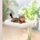 GUUSII HOME Cat Window Lounger, Foldable Cat Bed, Window Sill, Cat Hammock with Reversible Cover & Suction Cups, Window Sill Cushion, Window Lounger up to 18 kg, Window Pane (White, M) GUUSII HOME Cat Window Lounger, Foldable Cat Bed, Window Sill, Cat Hammock with Reversible Cover & Suction Cups, Window Sill Cushion, Window Lounger up to 18 kg, Window Pane (White, M)