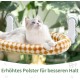 GUUSII HOME Cat Window Lounger, Foldable Cat Bed, Window Sill, Cat Hammock with Reversible Cover & Suction Cups, Window Sill Cushion, Window Lounger up to 18 kg, Window Pane (White, M) GUUSII HOME Cat Window Lounger, Foldable Cat Bed, Window Sill, Cat Hammock with Reversible Cover & Suction Cups, Window Sill Cushion, Window Lounger up to 18 kg, Window Pane (White, M)