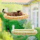 GUUSII HOME Cat Window Lounger, Foldable Cat Bed, Window Sill, Cat Hammock with Reversible Cover & Suction Cups, Window Sill Cushion, Window Lounger up to 18 kg, Window Pane (White, M) GUUSII HOME Cat Window Lounger, Foldable Cat Bed, Window Sill, Cat Hammock with Reversible Cover & Suction Cups, Window Sill Cushion, Window Lounger up to 18 kg, Window Pane (White, M)