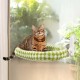 GUUSII HOME Cat Window Lounger, Foldable Cat Bed, Window Sill, Cat Hammock with Reversible Cover & Suction Cups, Window Sill Cushion, Window Lounger up to 18 kg, Window Pane (White, M) GUUSII HOME Cat Window Lounger, Foldable Cat Bed, Window Sill, Cat Hammock with Reversible Cover & Suction Cups, Window Sill Cushion, Window Lounger up to 18 kg, Window Pane (White, M)