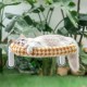 GUUSII HOME Cat Window Lounger, Foldable Cat Bed, Window Sill, Hammock, 4 Suction Cups, Window Sill Cushion, Machine Washable, Soft Plush, 54 x 30 cm (White, M) GUUSII HOME Cat Window Lounger, Foldable Cat Bed, Window Sill, Hammock, 4 Suction Cups, Window Sill Cushion, Machine Washable, Soft Plush, 54 x 30 cm (White, M)