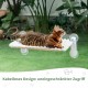 GUUSII HOME Cat Window Lounger, Foldable Cat Bed, Window Suction Cups, Window Sill Cushion for 2 Cats, Hammock, Window Pane, Easy to Assemble, Machine Washable, 54 x 30 cm (Grey, M) GUUSII HOME Cat Window Lounger, Foldable Cat Bed, Window Suction Cups, Window Sill Cushion for 2 Cats, Hammock, Window Pane, Easy to Assemble, Machine Washable, 54 x 30 cm (Grey, M)