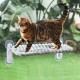 GUUSII HOME Cat Window Lounger, Foldable Cat Bed, Window Suction Cups, Window Sill Cushion for 2 Cats, Hammock, Window Pane, Easy to Assemble, Machine Washable, 54 x 30 cm (Grey, M) GUUSII HOME Cat Window Lounger, Foldable Cat Bed, Window Suction Cups, Window Sill Cushion for 2 Cats, Hammock, Window Pane, Easy to Assemble, Machine Washable, 54 x 30 cm (Grey, M)