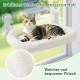 GUUSII HOME Hammock Cat Window Lounger Foldable Cat Bed Window Hammock Window Sill Cat Lounger Window Seat Sleeping Place Cats with 4 Suction Cups Easy to Assemble (Champagne) GUUSII HOME Hammock Cat Window Lounger Foldable Cat Bed Window Hammock Window Sill Cat Lounger Window Seat Sleeping Place Cats with 4 Suction Cups Easy to Assemble (Champagne)
