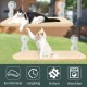 GUUSII HOME Window Lounger for Cats, Hammock, Window Seats, Cat Bed, Window, Foldable Cat Hammock, Window Hammock, Cat Lounger, Cat Hammock with Strong Suction Cups (Grey, M) GUUSII HOME Window Lounger for Cats, Hammock, Window Seats, Cat Bed, Window, Foldable Cat Hammock, Window Hammock, Cat Lounger, Cat Hammock with Strong Suction Cups (Grey, M)