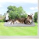GUUSII HOME Window Lounger for Cats, Hammock, Window Seats, Cat Bed, Window, Foldable Cat Hammock, Window Hammock, Cat Lounger, Cat Hammock with Strong Suction Cups (Grey, M) GUUSII HOME Window Lounger for Cats, Hammock, Window Seats, Cat Bed, Window, Foldable Cat Hammock, Window Hammock, Cat Lounger, Cat Hammock with Strong Suction Cups (Grey, M)