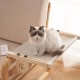 Gekufa Cat Window Lounger, Removable for Cleaning, Cat Hammock, Wooden Cat Hammock Window with Soft Cushion for Bedside, Sofa and Window, White, 70 x 38 cm Gekufa Cat Window Lounger, Removable for Cleaning, Cat Hammock, Wooden Cat Hammock Window with Soft Cushion for Bedside, Sofa and Window, White, 70 x 38 cm