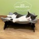 Generisch Cat Bed Washable as a Hammock Freestanding for Cats or Dog Bed for Small Dogs the Cat Sleeping Area for Pets (Light Grey) Generisch Cat Bed Washable as a Hammock Freestanding for Cats or Dog Bed for Small Dogs the Cat Sleeping Area for Pets (Light Grey)