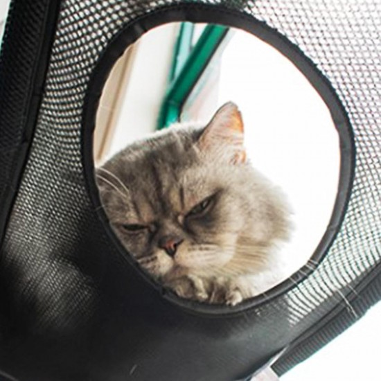 Gevvnss Window Cat Hammock for Cats up to 25 kg, Double Layer Cat Hammock for Indoor Cats, Reinforced Cat Window Seat with Strong Suction Cup, 51 x 31 cm, Window Sill Lounger Cat Gevvnss Window Cat Hammock for Cats up to 25 kg, Double Layer Cat Hammock for Indoor Cats, Reinforced Cat Window Seat with Strong Suction Cup, 51 x 31 cm, Window Sill Lounger Cat