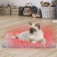 Gohytal Self-Heating Cat Blanket 40 x 50 cm, Electric Blanket for Cats and Dogs, Self-Warming Blanket, Pet Heating Pad, Heat Mat, Heating Blankets Without Electricity, Washable Cat Cushion for Home Gohytal Self-Heating Cat Blanket 40 x 50 cm, Electric Blanket for Cats and Dogs, Self-Warming Blanket, Pet Heating Pad, Heat Mat, Heating Blankets Without Electricity, Washable Cat Cushion for Home