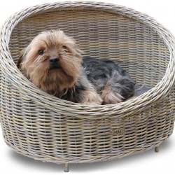 HABAU Cat Cave with Cushion, Made of Sturdy Polyethylene Mesh with Metal Frame (Dog & Cat Sofa) HABAU Cat Cave with Cushion, Made of Sturdy Polyethylene Mesh with Metal Frame (Dog & Cat Sofa)