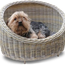 HABAU Cat Cave with Cushion, Made of Sturdy Polyethylene Mesh with Metal Frame (Dog & Cat Sofa) HABAU Cat Cave with Cushion, Made of Sturdy Polyethylene Mesh with Metal Frame (Dog & Cat Sofa)