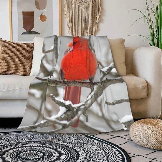 HGOD DESIGNS Cat Flannel Fleece Bed Blanket 40 x 50 Inch Cartoon Curte Cat Face Pattern Throw Blanket Lightweight Cozy Plush Blanket for Bedroom Living Room Sofa Couch HGOD DESIGNS Cat Flannel Fleece Bed Blanket 40 x 50 Inch Cartoon Curte Cat Face Pattern Throw Blanket Lightweight Cozy Plush Blanket for Bedroom Living Room Sofa Couch