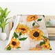 HGOD DESIGNS Cat Flannel Fleece Bed Blanket 40 x 50 Inch Cartoon Curte Cat Face Pattern Throw Blanket Lightweight Cozy Plush Blanket for Bedroom Living Room Sofa Couch HGOD DESIGNS Cat Flannel Fleece Bed Blanket 40 x 50 Inch Cartoon Curte Cat Face Pattern Throw Blanket Lightweight Cozy Plush Blanket for Bedroom Living Room Sofa Couch