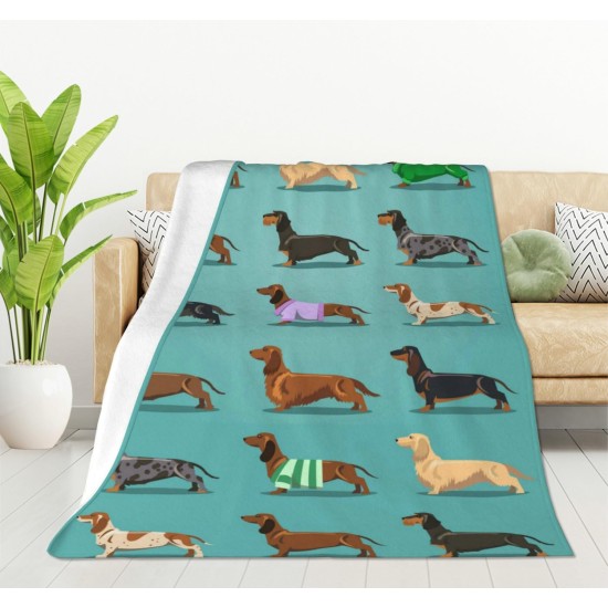 HGOD DESIGNS Cat Flannel Fleece Bed Blanket 40 x 50 Inch Cartoon Curte Cat Face Pattern Throw Blanket Lightweight Cozy Plush Blanket for Bedroom Living Room Sofa Couch HGOD DESIGNS Cat Flannel Fleece Bed Blanket 40 x 50 Inch Cartoon Curte Cat Face Pattern Throw Blanket Lightweight Cozy Plush Blanket for Bedroom Living Room Sofa Couch