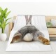 HGOD DESIGNS Cat Flannel Fleece Bed Blanket 40 x 50 Inch Cartoon Curte Cat Face Pattern Throw Blanket Lightweight Cozy Plush Blanket for Bedroom Living Room Sofa Couch HGOD DESIGNS Cat Flannel Fleece Bed Blanket 40 x 50 Inch Cartoon Curte Cat Face Pattern Throw Blanket Lightweight Cozy Plush Blanket for Bedroom Living Room Sofa Couch