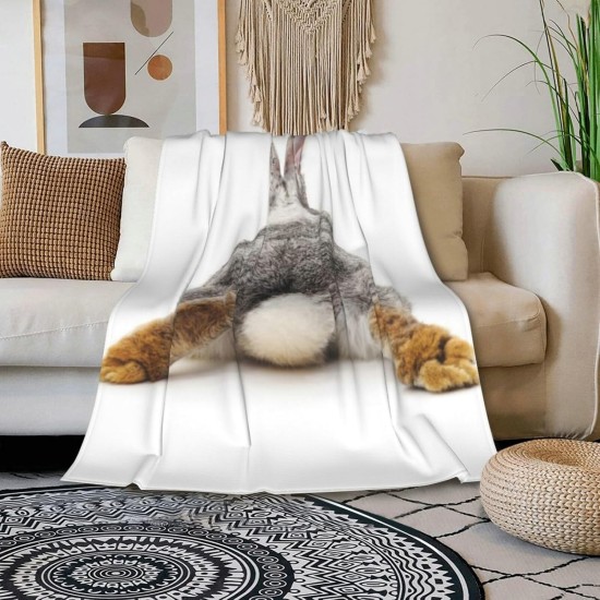 HGOD DESIGNS Cat Flannel Fleece Bed Blanket 40 x 50 Inch Cartoon Curte Cat Face Pattern Throw Blanket Lightweight Cozy Plush Blanket for Bedroom Living Room Sofa Couch HGOD DESIGNS Cat Flannel Fleece Bed Blanket 40 x 50 Inch Cartoon Curte Cat Face Pattern Throw Blanket Lightweight Cozy Plush Blanket for Bedroom Living Room Sofa Couch