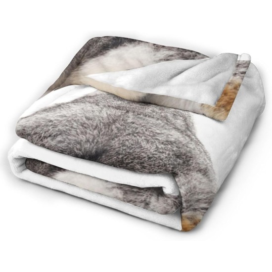 HGOD DESIGNS Cat Flannel Fleece Bed Blanket 40 x 50 Inch Cartoon Curte Cat Face Pattern Throw Blanket Lightweight Cozy Plush Blanket for Bedroom Living Room Sofa Couch HGOD DESIGNS Cat Flannel Fleece Bed Blanket 40 x 50 Inch Cartoon Curte Cat Face Pattern Throw Blanket Lightweight Cozy Plush Blanket for Bedroom Living Room Sofa Couch