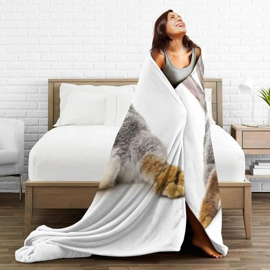 HGOD DESIGNS Cat Flannel Fleece Bed Blanket 40 x 50 Inch Cartoon Curte Cat Face Pattern Throw Blanket Lightweight Cozy Plush Blanket for Bedroom Living Room Sofa Couch HGOD DESIGNS Cat Flannel Fleece Bed Blanket 40 x 50 Inch Cartoon Curte Cat Face Pattern Throw Blanket Lightweight Cozy Plush Blanket for Bedroom Living Room Sofa Couch