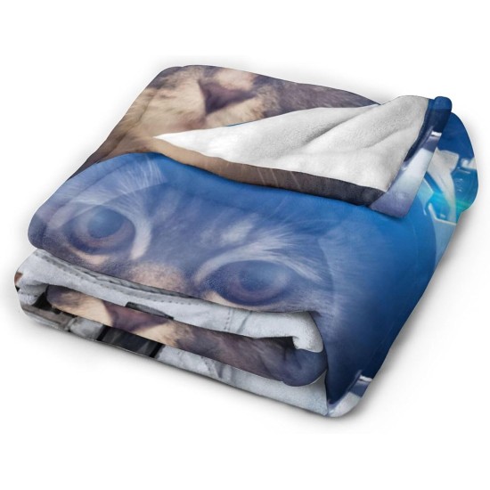 HGOD DESIGNS Cat Flannel Fleece Bed Blanket 40 x 50 Inch Cartoon Curte Cat Face Pattern Throw Blanket Lightweight Cozy Plush Blanket for Bedroom Living Room Sofa Couch HGOD DESIGNS Cat Flannel Fleece Bed Blanket 40 x 50 Inch Cartoon Curte Cat Face Pattern Throw Blanket Lightweight Cozy Plush Blanket for Bedroom Living Room Sofa Couch
