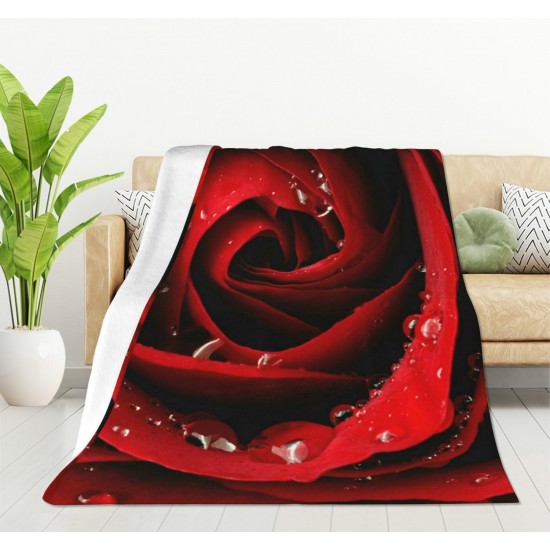 HGOD DESIGNS Cute Cat Blanket for Women Lightweight Soft Fleece Flannel Throw Blanket Cat Cowboy on a Horse Sofa Couch Living Room 130x150cm HGOD DESIGNS Cute Cat Blanket for Women Lightweight Soft Fleece Flannel Throw Blanket Cat Cowboy on a Horse Sofa Couch Living Room 130x150cm