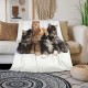 HGOD DESIGNS Cute Cat Blanket for Women Lightweight Soft Fleece Flannel Throw Blanket Cat Cowboy on a Horse Sofa Couch Living Room 130x150cm HGOD DESIGNS Cute Cat Blanket for Women Lightweight Soft Fleece Flannel Throw Blanket Cat Cowboy on a Horse Sofa Couch Living Room 130x150cm