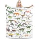 HGOD DESIGNS Cute Cat Blanket for Women Lightweight Soft Fleece Flannel Throw Blanket Cats and Milk Bottle Sofa Couch Living Room 100x130cm HGOD DESIGNS Cute Cat Blanket for Women Lightweight Soft Fleece Flannel Throw Blanket Cats and Milk Bottle Sofa Couch Living Room 100x130cm