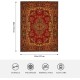 HGOD DESIGNS Cute Cat Blanket for Women Lightweight Soft Fleece Flannel Throw Blanket Cats and Milk Bottle Sofa Couch Living Room 100x130cm HGOD DESIGNS Cute Cat Blanket for Women Lightweight Soft Fleece Flannel Throw Blanket Cats and Milk Bottle Sofa Couch Living Room 100x130cm