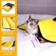 HTRTRR Quick Dry Dog Towel, 2 Pack Pet Dog Towels Super Microfiber, Soft, Comfortable and Absorbent (Yellow/Green, 60 x 120 cm) HTRTRR Quick Dry Dog Towel, 2 Pack Pet Dog Towels Super Microfiber, Soft, Comfortable and Absorbent (Yellow/Green, 60 x 120 cm)