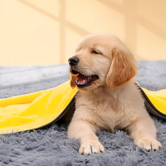 HTRTRR Quick Dry Dog Towel, 2 Pack Pet Dog Towels Super Microfiber, Soft, Comfortable and Absorbent (Yellow/Green, 60 x 120 cm) HTRTRR Quick Dry Dog Towel, 2 Pack Pet Dog Towels Super Microfiber, Soft, Comfortable and Absorbent (Yellow/Green, 60 x 120 cm)