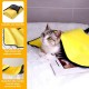 HTRTRR Quick Dry Dog Towel, 2 Pack Pet Dog Towels Super Microfiber, Soft, Comfortable and Absorbent (Yellow/Green, 60 x 120 cm) HTRTRR Quick Dry Dog Towel, 2 Pack Pet Dog Towels Super Microfiber, Soft, Comfortable and Absorbent (Yellow/Green, 60 x 120 cm)
