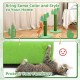 Happy & Polly Cat Scratching Post - Jute Cactus Scratching Post - Height 50 cm Small Creative Scratching Post with Stable Base for Kittens and Adult Cats - Green Happy & Polly Cat Scratching Post - Jute Cactus Scratching Post - Height 50 cm Small Creative Scratching Post with Stable Base for Kittens and Adult Cats - Green