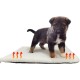Heated Warm Blanket for Cats and Dogs, Soft Cushion for Cats and Dogs, Luxurious Sheep's Wool, Bed for Dogs and Cats, Washable, Colour Beige, 60 x 45 cm Heated Warm Blanket for Cats and Dogs, Soft Cushion for Cats and Dogs, Luxurious Sheep's Wool, Bed for Dogs and Cats, Washable, Colour Beige, 60 x 45 cm