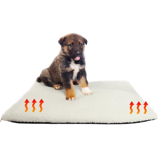 Heated Warm Blanket for Cats and Dogs, Soft Cushion for Cats and Dogs, Luxurious Sheep's Wool, Bed for Dogs and Cats, Washable, Colour Beige, 60 x 45 cm Heated Warm Blanket for Cats and Dogs, Soft Cushion for Cats and Dogs, Luxurious Sheep's Wool, Bed for Dogs and Cats, Washable, Colour Beige, 60 x 45 cm