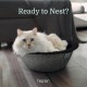 Hepper Nest Cat Bed Keep Fur Off Your Couch, Bed and Furniture with the Modern Pet Bed for Cats and Small Dogs. Removable, Washable Fleece Microfibre Liner. Cats Love to