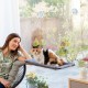 InnovaGoods® Hanging Cat Hammock, Wool Cat Bed, Scratch-Resistant Cat Hammock, No Scratching or Damage to Surfaces, Suitable for Various Uses and Rooms InnovaGoods® Hanging Cat Hammock, Wool Cat Bed, Scratch-Resistant Cat Hammock, No Scratching or Damage to Surfaces, Suitable for Various Uses and Rooms