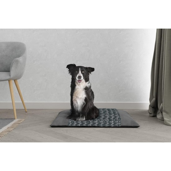 Italian Bed Linen Zoe Item for Dogs and Cats, Dog Bed, 62 x 50 x H17 cm Italian Bed Linen Zoe Item for Dogs and Cats, Dog Bed, 62 x 50 x H17 cm