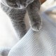 JUNSPOW Cat Bed, Washable, Soft Dog Bed, Removable, Cat Accessories, Cat Basket, Cat Nest, Outdoor Cat Bed, Cat Cushion, Cat Hammock, Window Bed Sofa for Cats and Small Dogs JUNSPOW Cat Bed, Washable, Soft Dog Bed, Removable, Cat Accessories, Cat Basket, Cat Nest, Outdoor Cat Bed, Cat Cushion, Cat Hammock, Window Bed Sofa for Cats and Small Dogs
